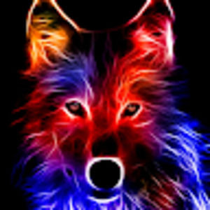 Meet your Posher, Eitan